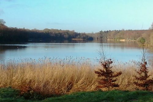 Virginia Water